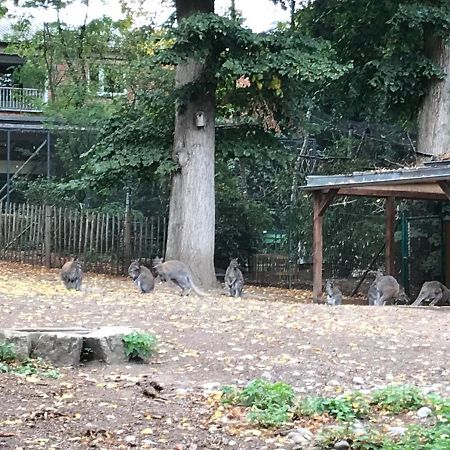 Ferienhaus Am Park Am Roehrensee بايروث المظهر الخارجي الصورة