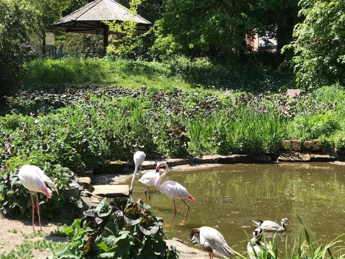 Ferienhaus Am Park Am Roehrensee بايروث المظهر الخارجي الصورة