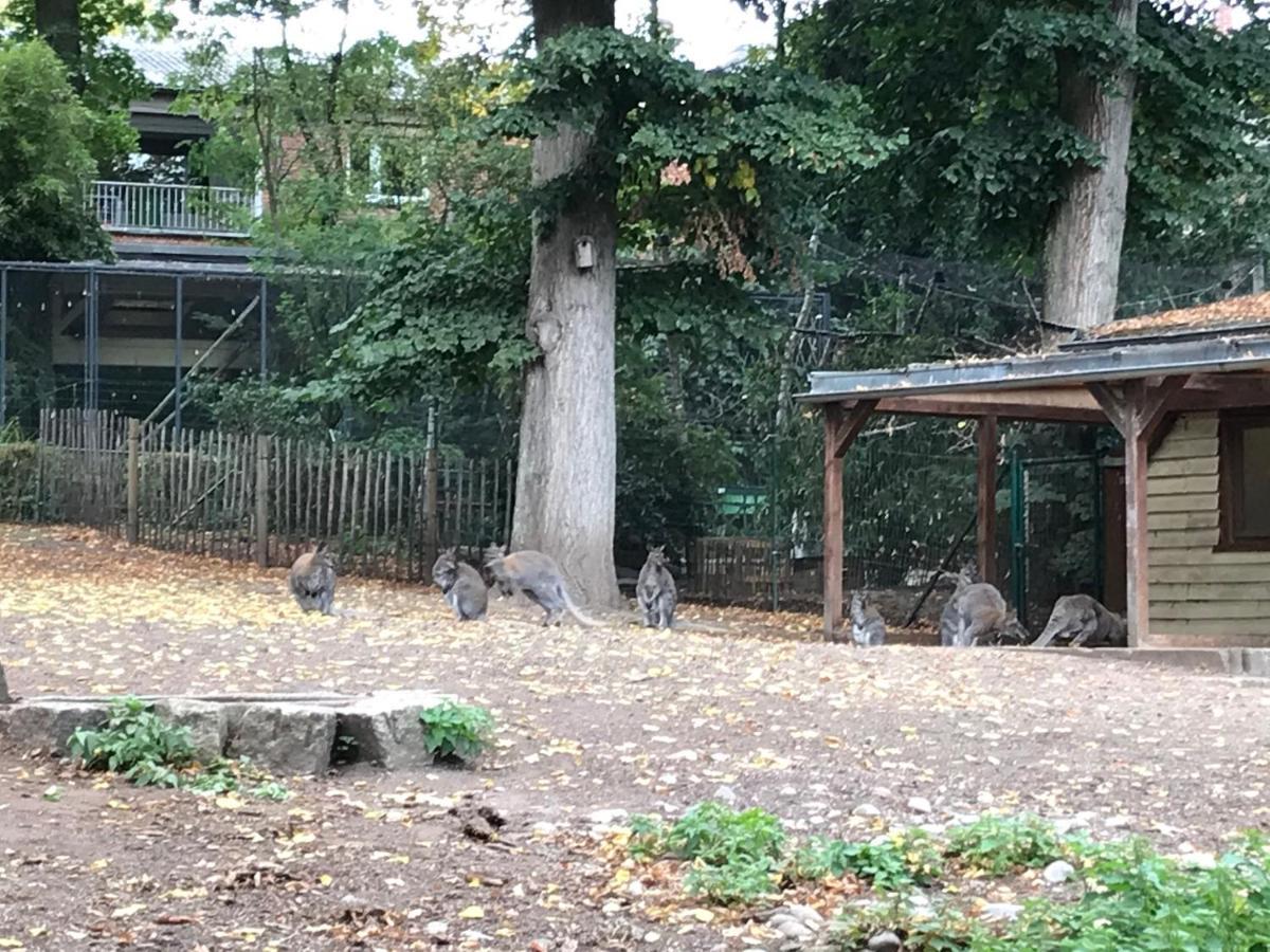 Ferienhaus Am Park Am Roehrensee بايروث المظهر الخارجي الصورة